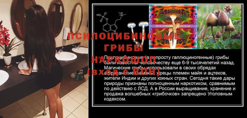 Галлюциногенные грибы ЛСД  купить наркотики цена  Зарайск 